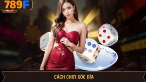 Cách chơi xóc đĩa